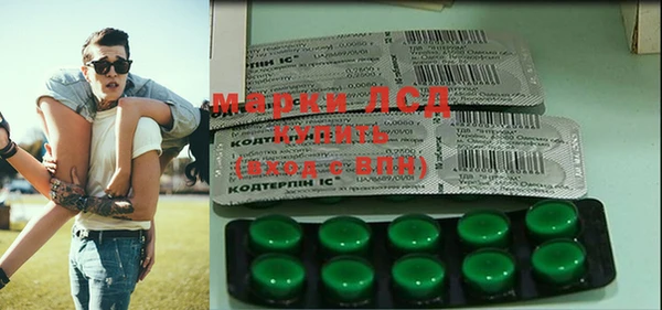 spice Верея