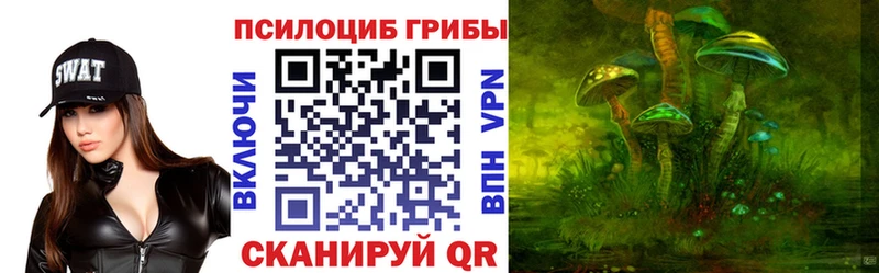 Галлюциногенные грибы Cubensis  как найти закладки  Вихоревка 